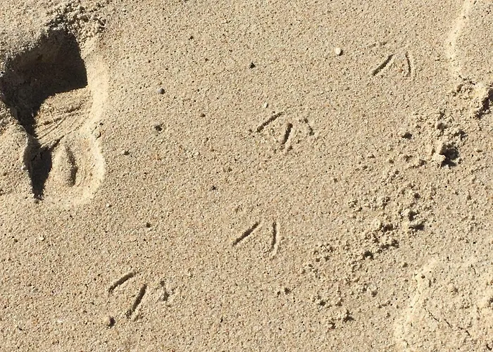 Sitio Ocean Views Nazaré