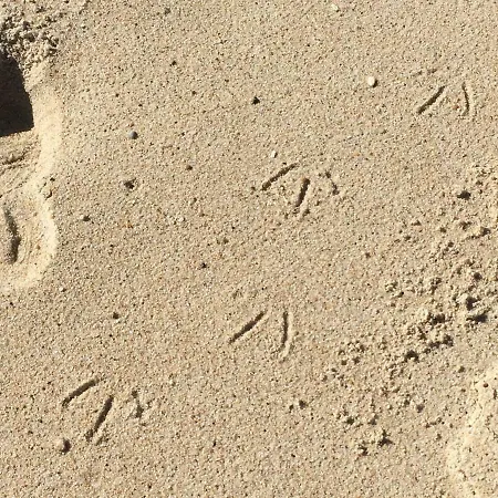 Sitio Ocean Views Nazaré